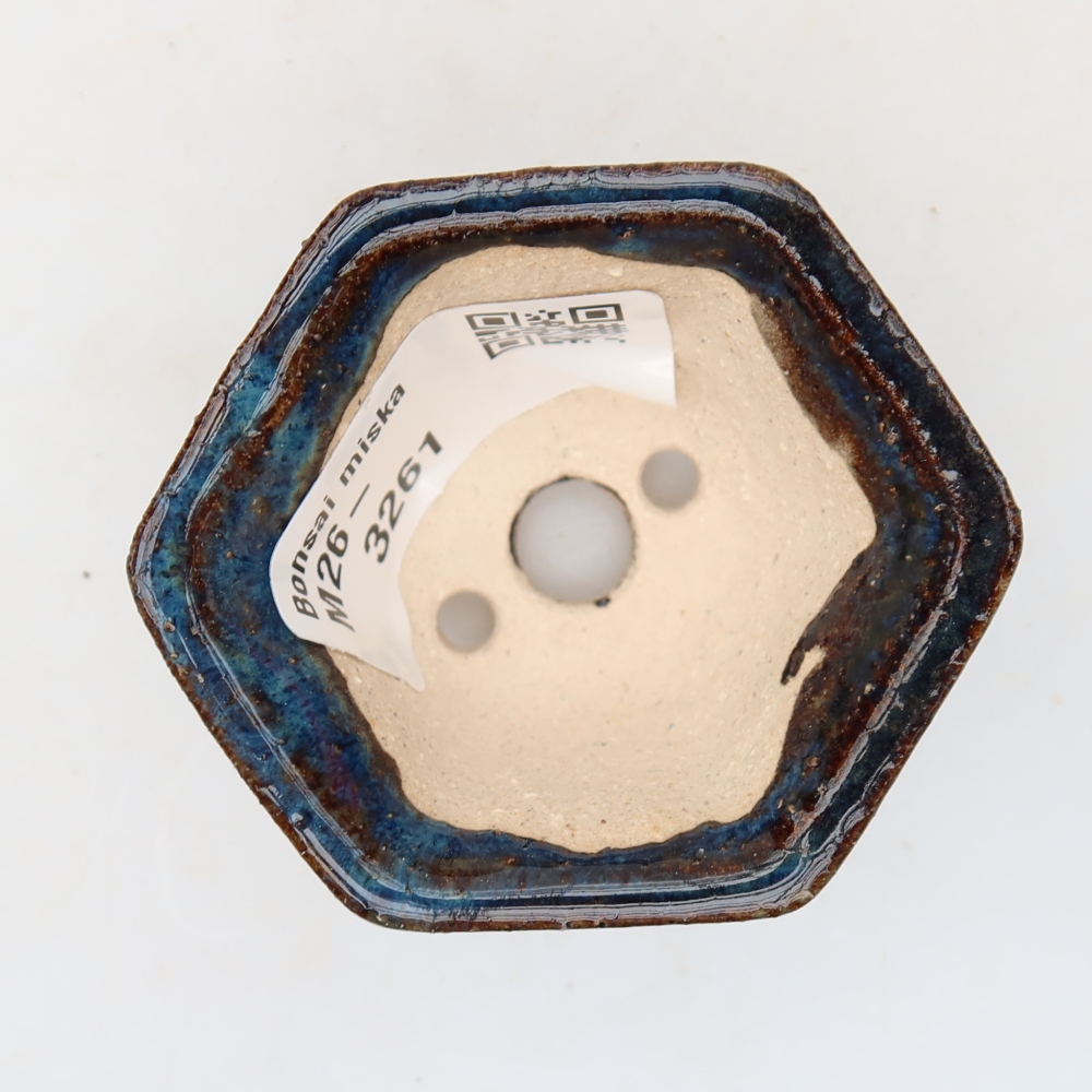 Pot à bonsaï en céramique 5,5 x 5 x 3 cm, couleur bleue