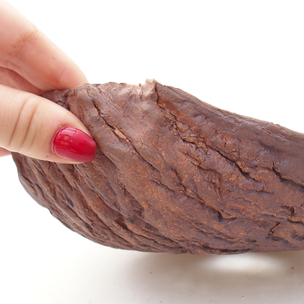 Coquille en céramique 19 x 17 x 7 cm , couleur marron