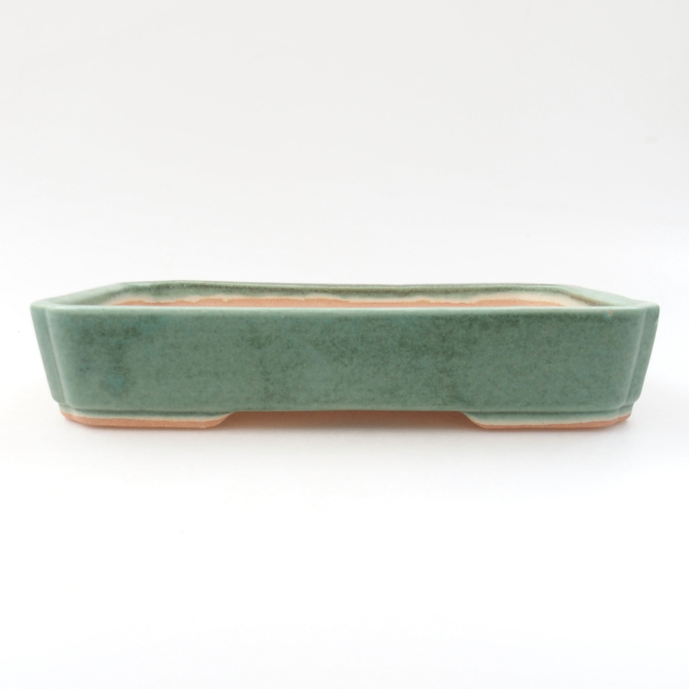 Bol à bonsaï en céramique 22 x 17 x 5 cm, vert