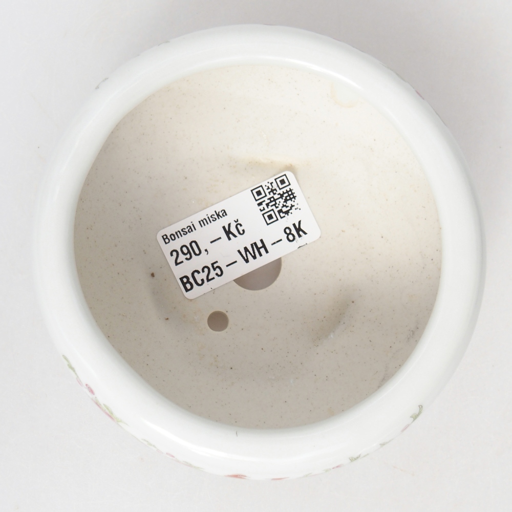 Bol à bonsaï en céramique 10 x 10 x 5 cm, couleur blanc