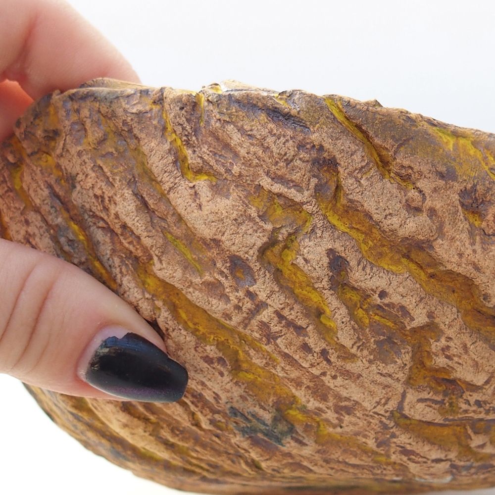 Coquille en céramique 16 x 14 x 7 cm , jaune