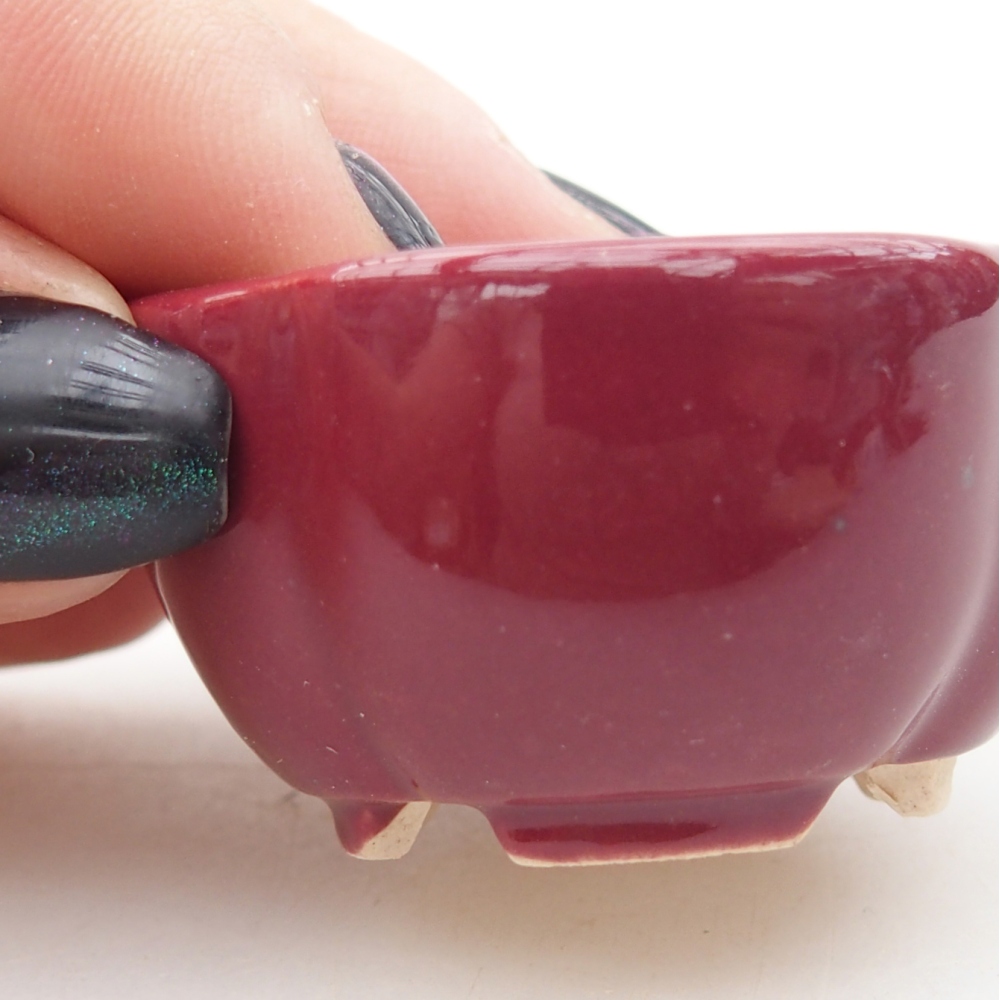 Mini bol bonsaï 4 x 4 x 2 cm, bordeaux