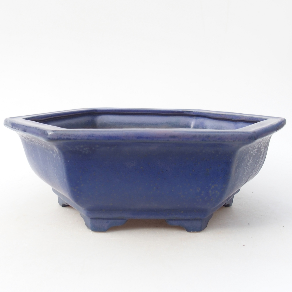 Bol à bonsaï en céramique 24 x 21 x 7,5 cm, couleur bleu