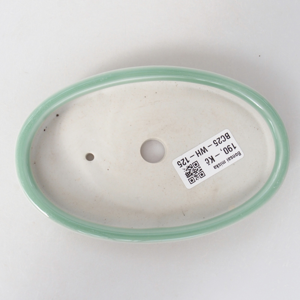 Bol à bonsaï en céramique 15,5 x 10 x 2 cm, vert