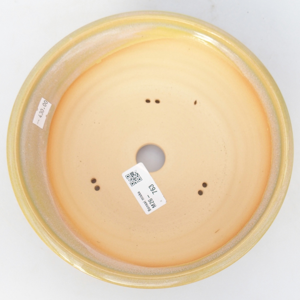 Bol à bonsaï en céramique 20,5 x 20,5 x 7 cm, jaune-vert