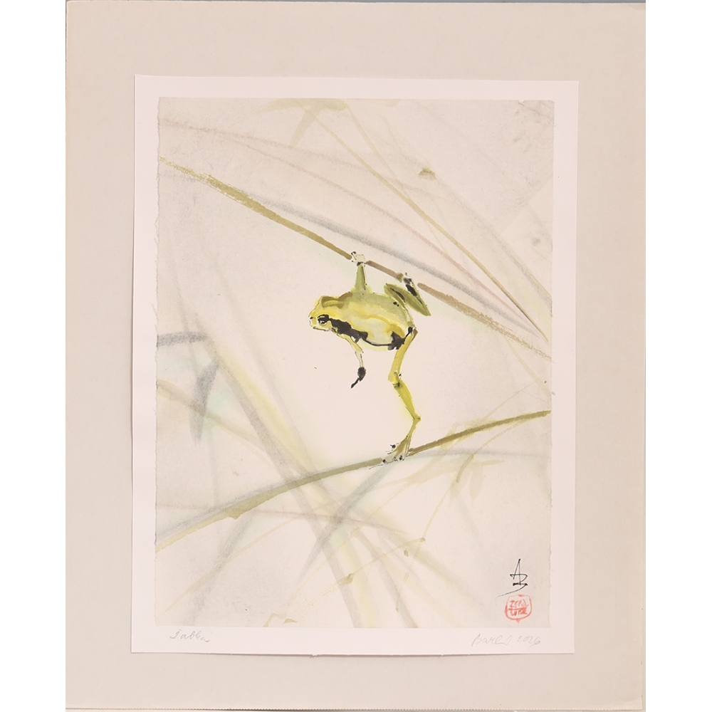 Calligraphie - La petite grenouille