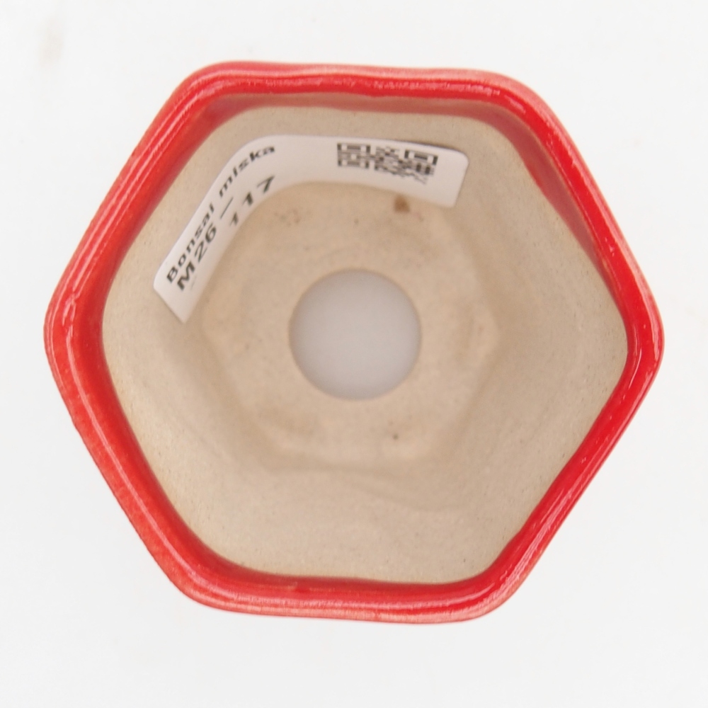 Mini bol bonsaï 5,5 x 5 x 5 cm, couleur rouge