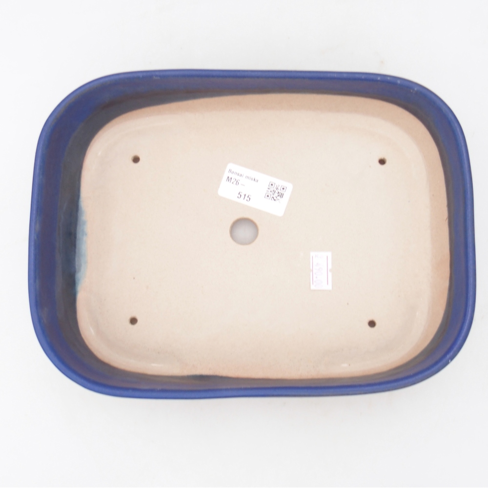 Bol à bonsaï en céramique 22,5 x 17 x 6 cm, couleur bleu