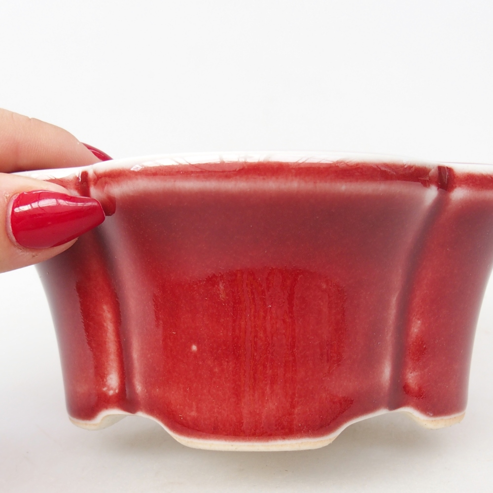 Bol à bonsaï en céramique 12,5 x 10 x 5,5 cm, couleur rouge