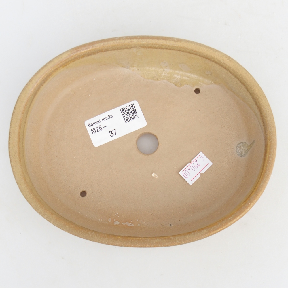 Bol à bonsaï en céramique 17 x 14 x 4 cm, couleur beige