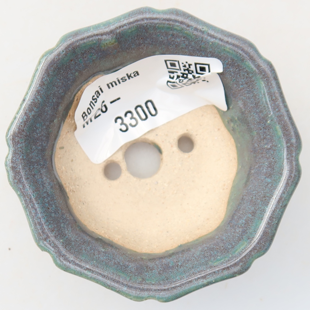 Pot à bonsaï en céramique 6 x 6 x 2,5 cm, couleur grise