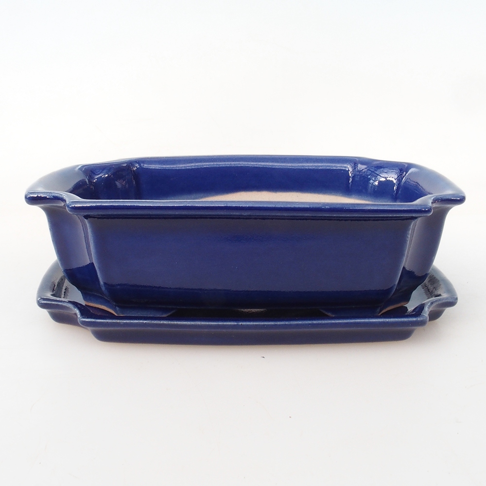 Bol Bonsaï + soucoupe H17 - 15 x 10 x 4 cm - bleu