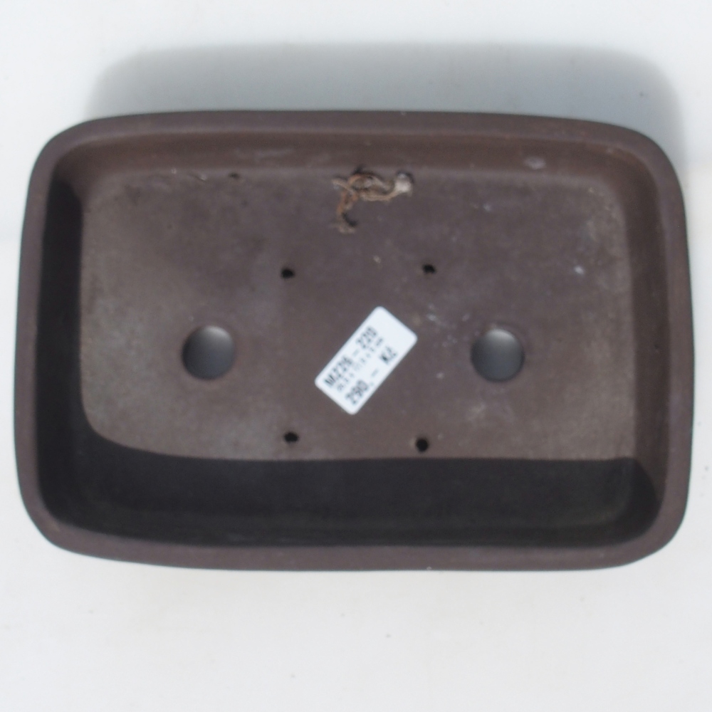 Bol pour bonsaï 25,5 x 17,5 x 5 cm bouleau brun