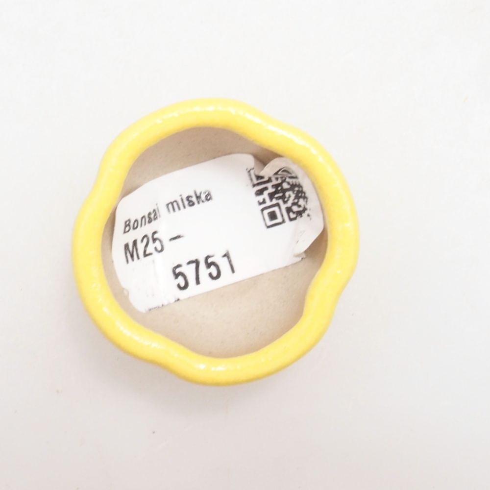 Bol à bonsaï en céramique 4 x 4 x 2 cm, jaune