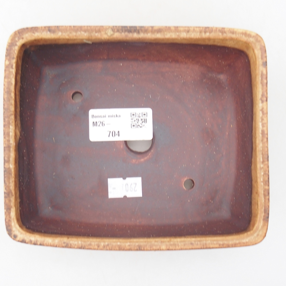 Bol à bonsaï en céramique 15 x 12 x 5 cm, brun