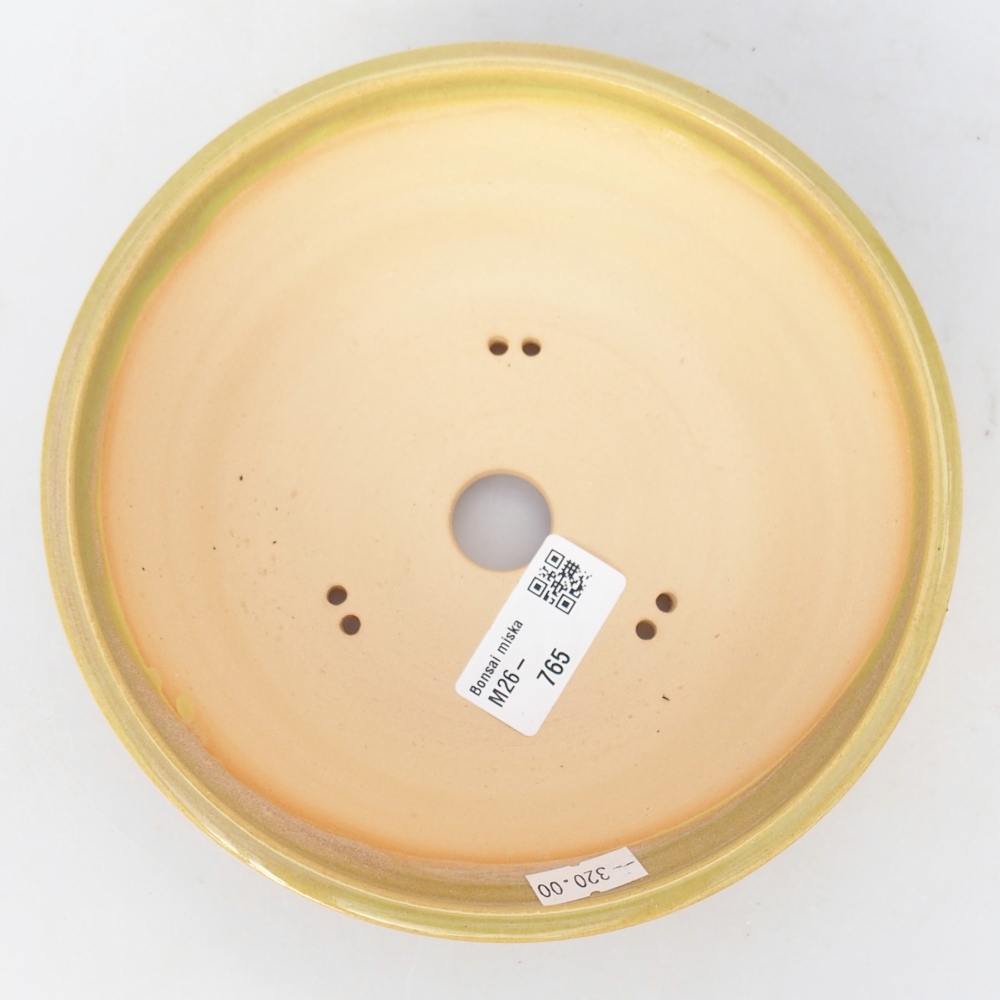 Bol à bonsaï en céramique 17 x 17 x 5,5 cm, jaune-vert