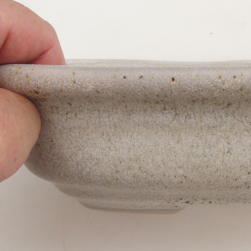 Coupe bonsaï H25 - 23 x 17 x 5,5 cm - beige