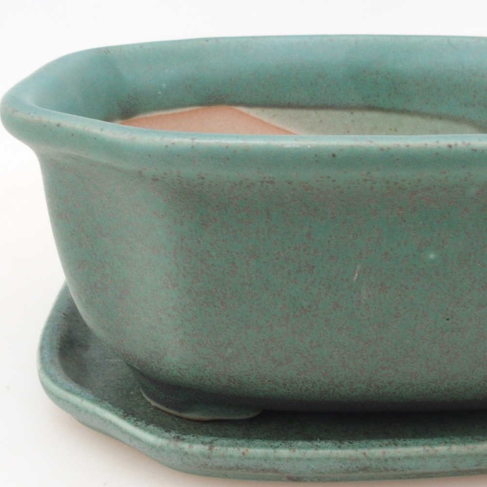 Bol Bonsaï + soucoupe H31 - vert