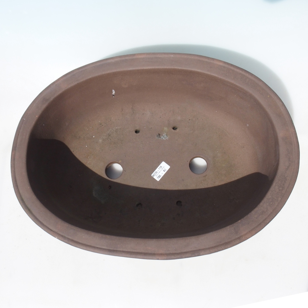 Bol pour bonsaï 52,5 x 38,5 x 18 cm - brun