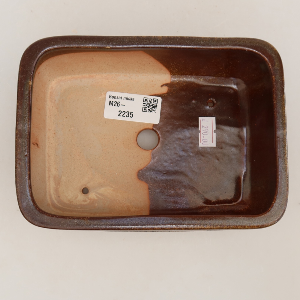 Pot à bonsaï en céramique 17 x 12,5 x 5,5 cm, couleur marron