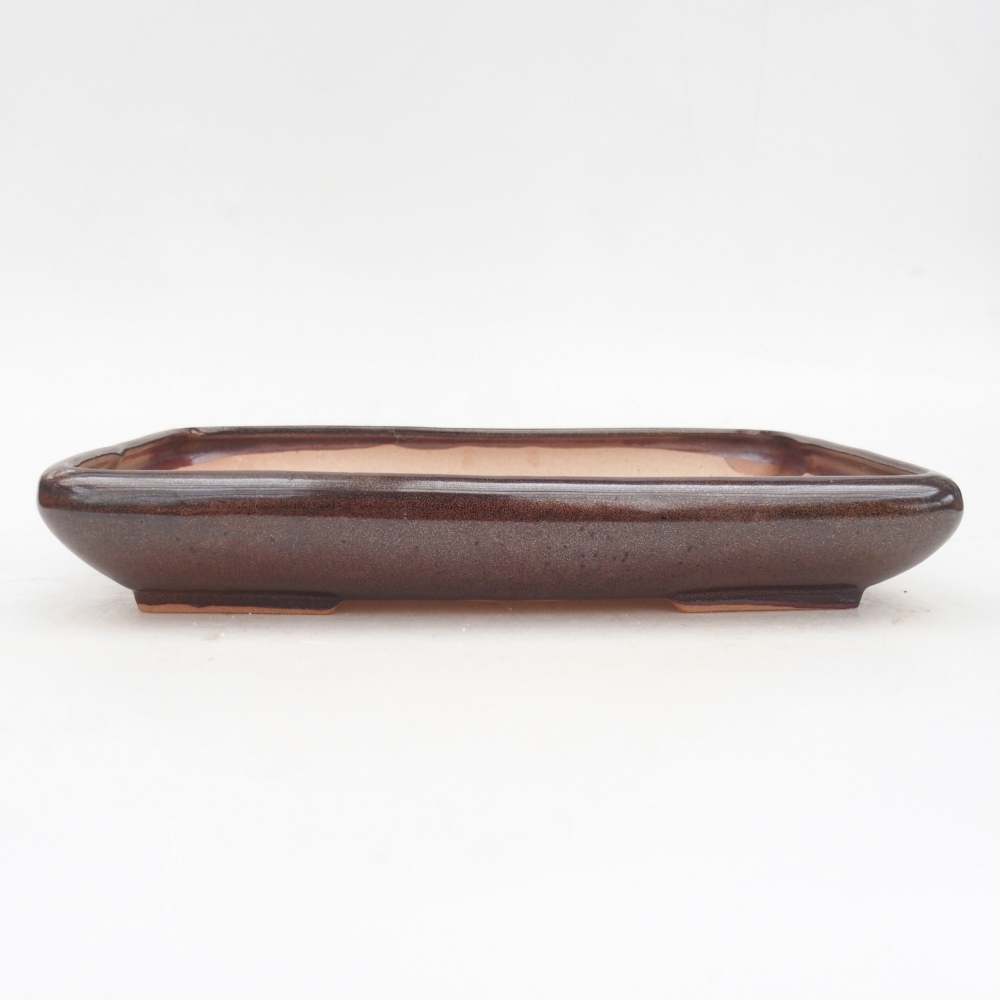 Bol à bonsaï en céramique 24 x 17,5 x 4 cm, brun