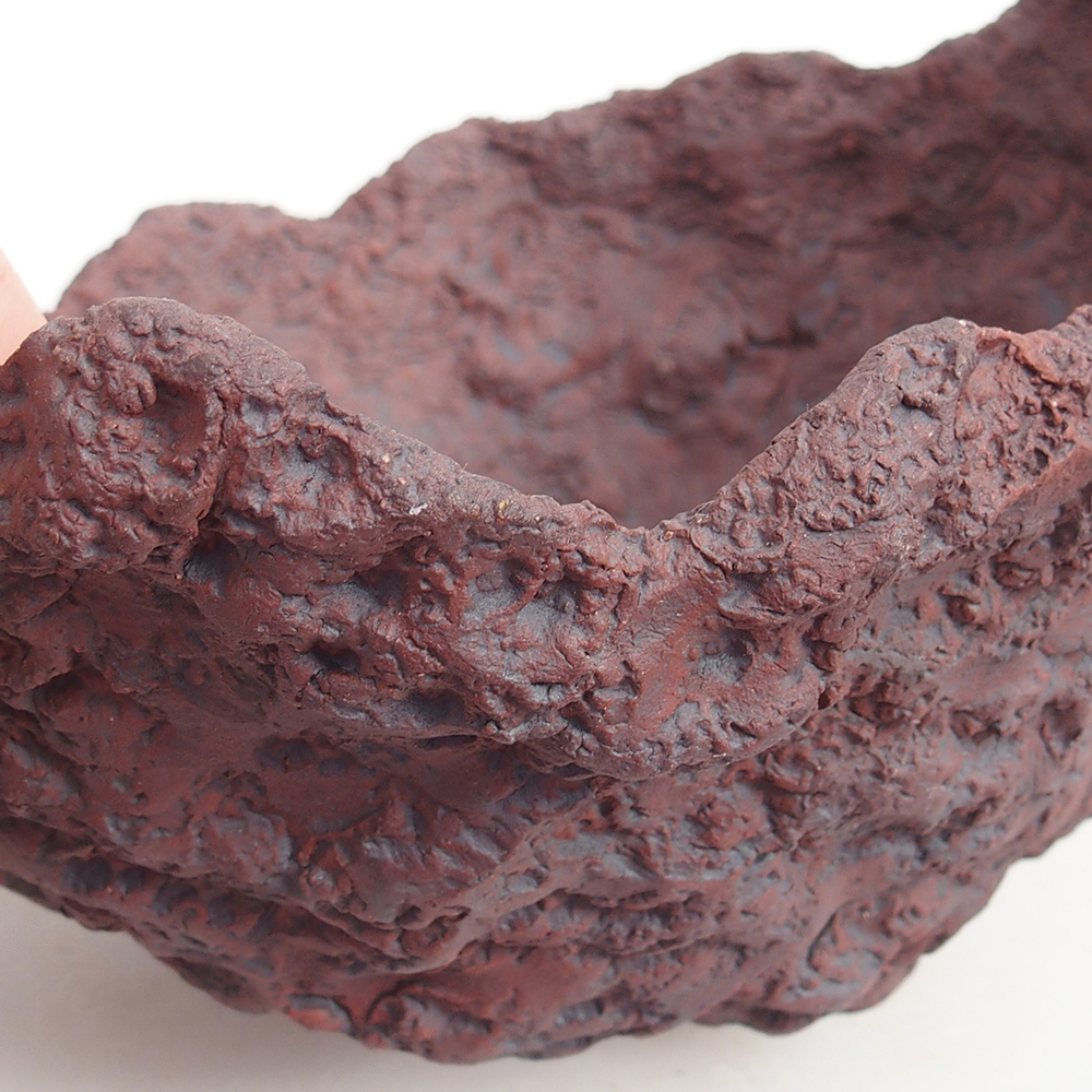 Coquille en céramique 19 x 17 x 16 cm , couleur marron