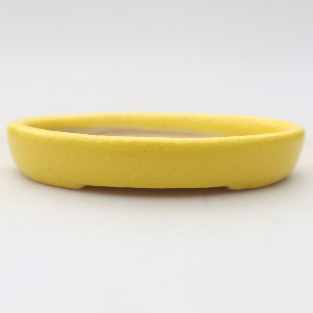 Pot à bonsaï en céramique 8 x 6 x 1 cm, couleur jaune
