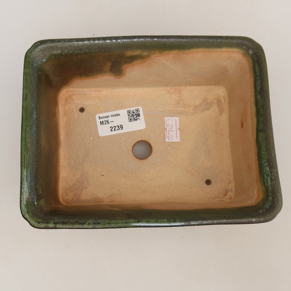 Pot à bonsaï en céramique 18 x 14 x 7 cm, couleur verte