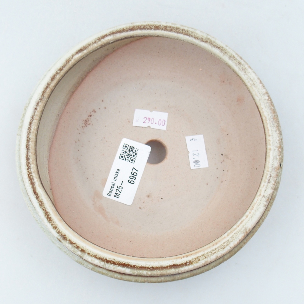 Bol à bonsaï en céramique 15 x 15 x 5 cm, vert