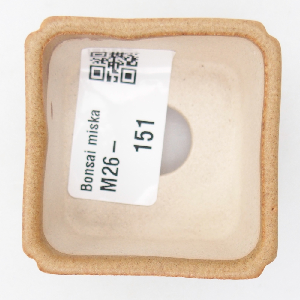Mini bol bonsaï 5 x 5 x 3 cm, brun