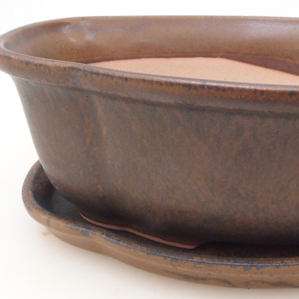 Bol Bonsaï + soucoupe H75 - brun