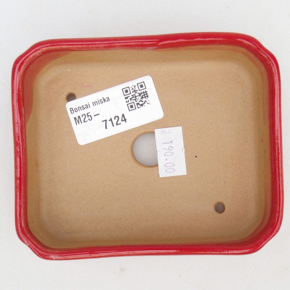 Bol à bonsaï en céramique 11 x 9 x 3 cm, couleur rouge