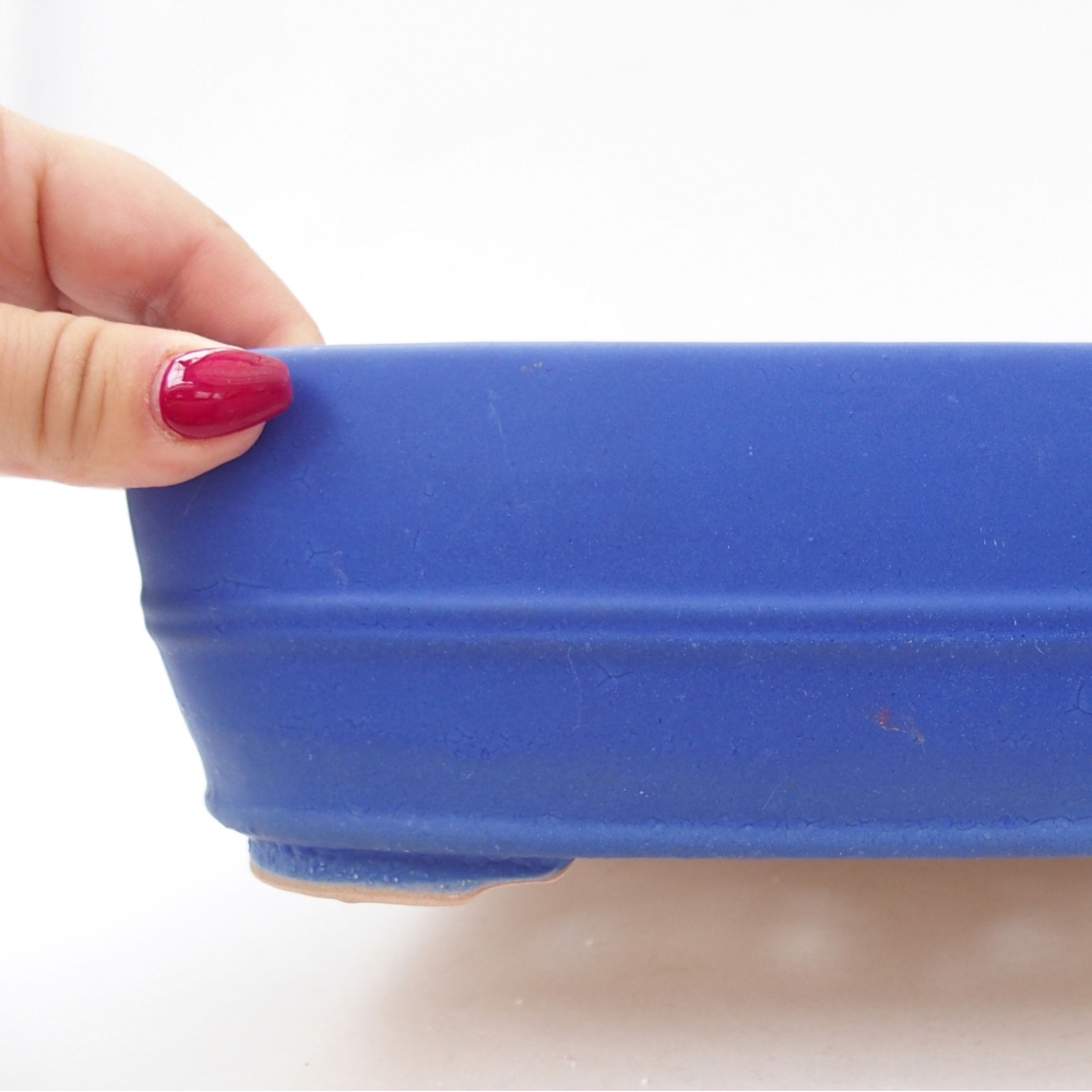 Bol à bonsaï en céramique 24 x 19 x 7,5 cm, couleur bleu