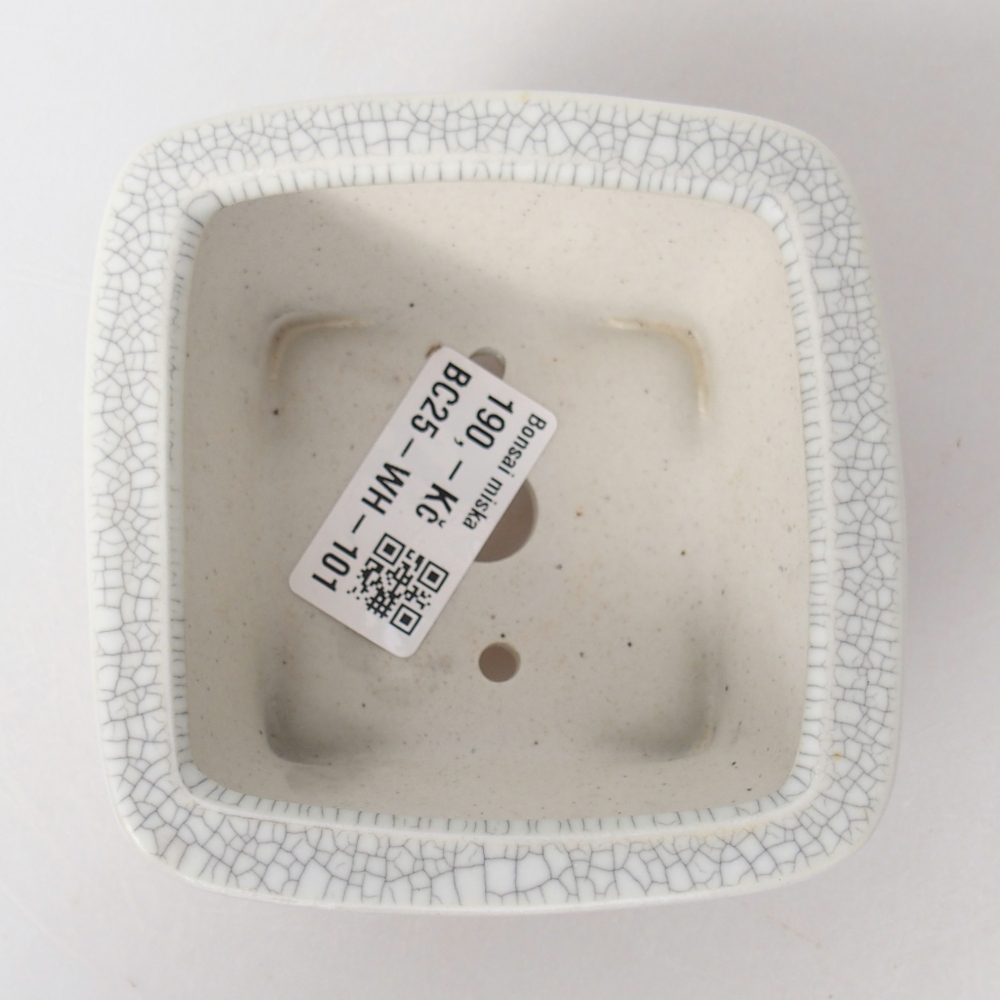 Bol à bonsaï en céramique 9,5 x 9,5 x 5 cm, couleur raku