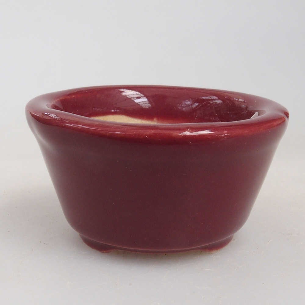 Mini bol bonsaï 4 x 4 x 2 cm, bordeaux