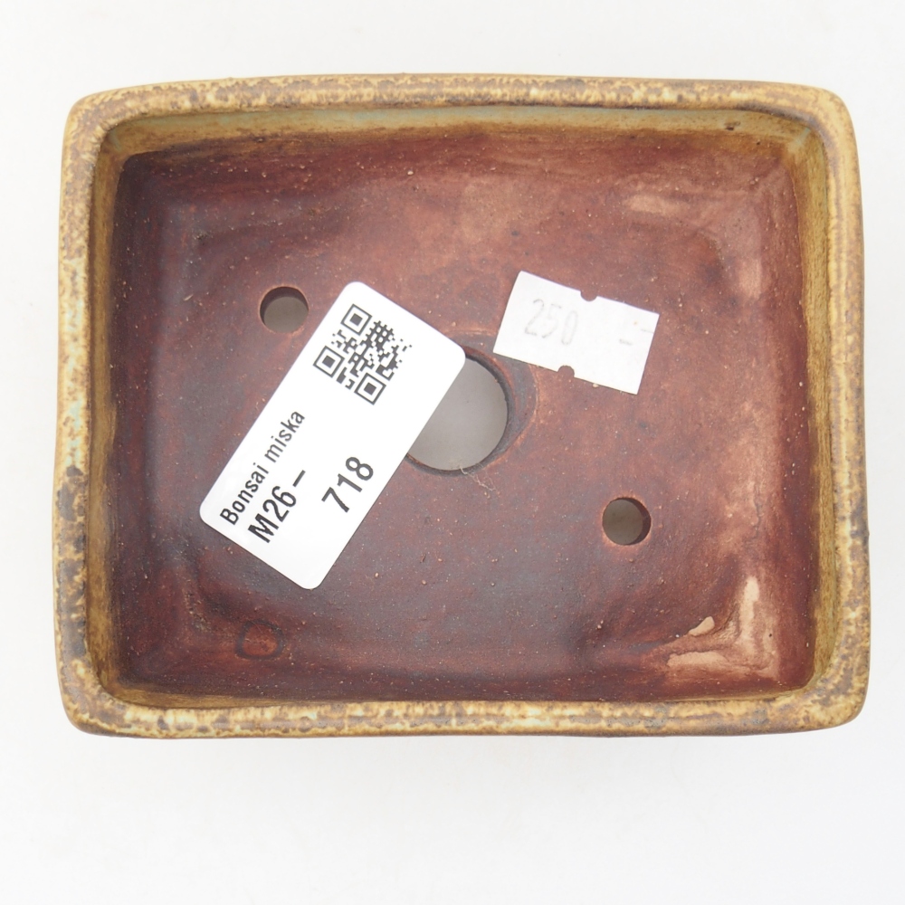 Bol à bonsaï en céramique 10 x 8 x 4 cm, vert