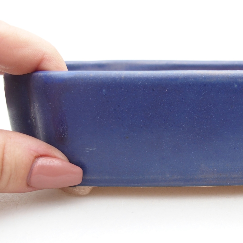 Bol à bonsaï en céramique 15,5 x 11,5 x 4 cm, couleur bleu