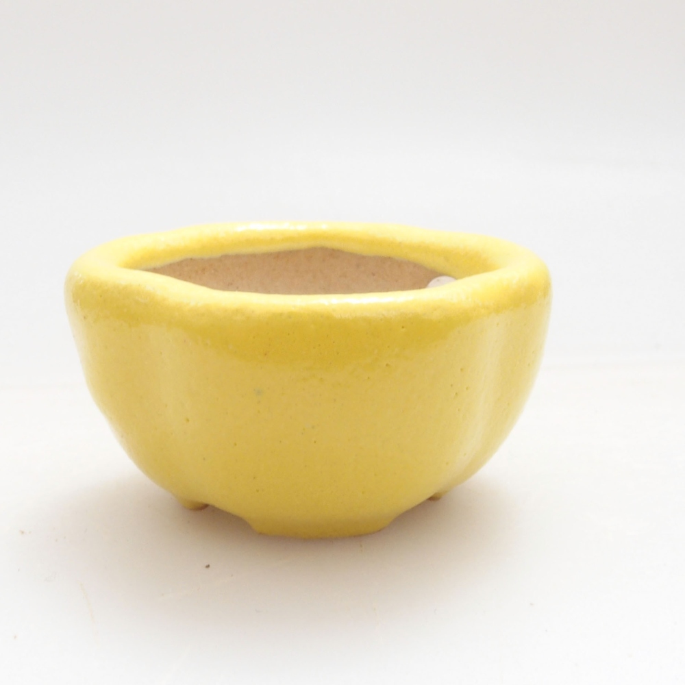 Bol à bonsaï en céramique 4 x 4 x 2 cm, jaune