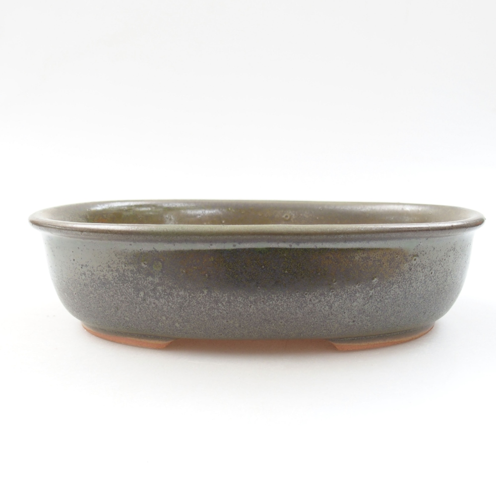 Bol à bonsaï en céramique 22 x 17 x 5 cm, vert