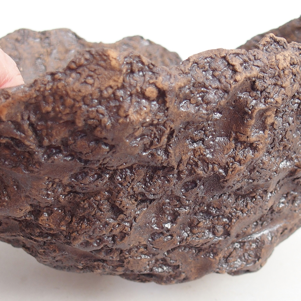 Coquille en céramique 19 x 16 x 14 cm , couleur marron