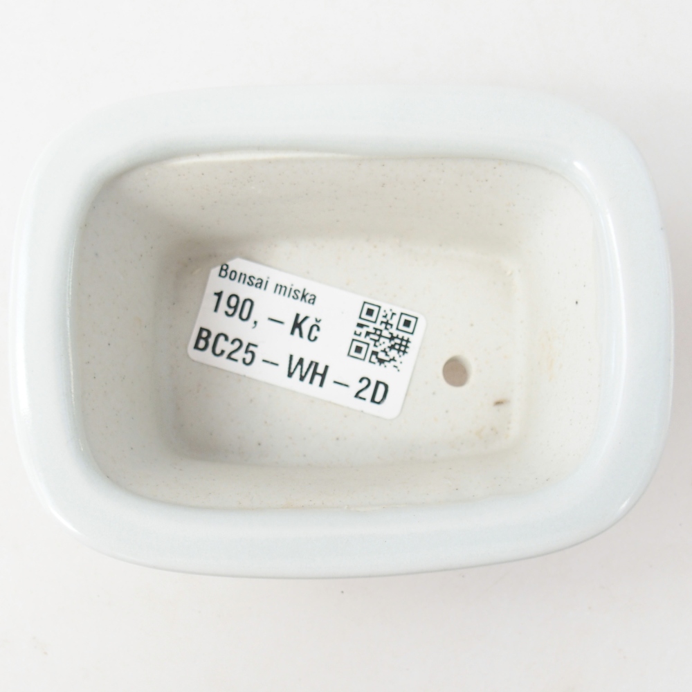 Mini bol bonsaï 10 x 7,5 x 4 cm, couleur blanc