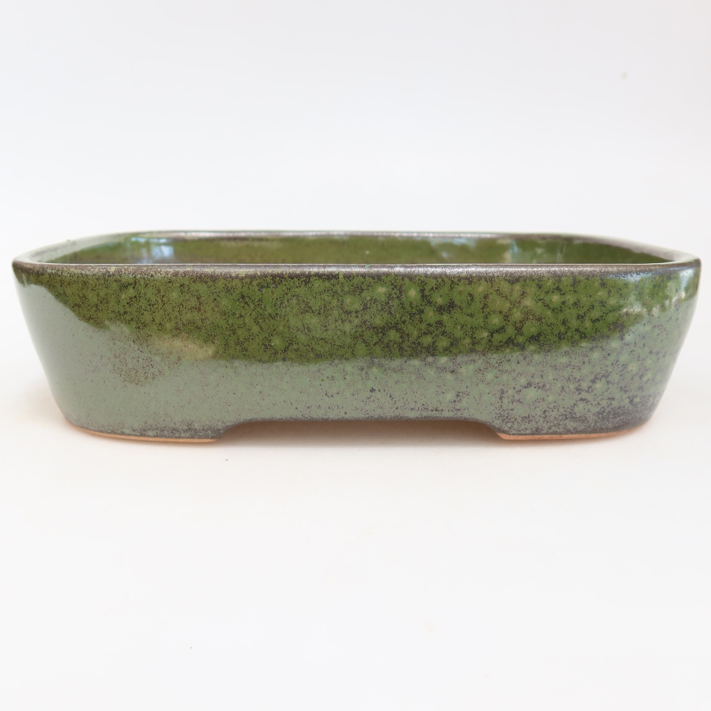 Bol à bonsaï en céramique 23 x 18 x 5,5 cm, vert