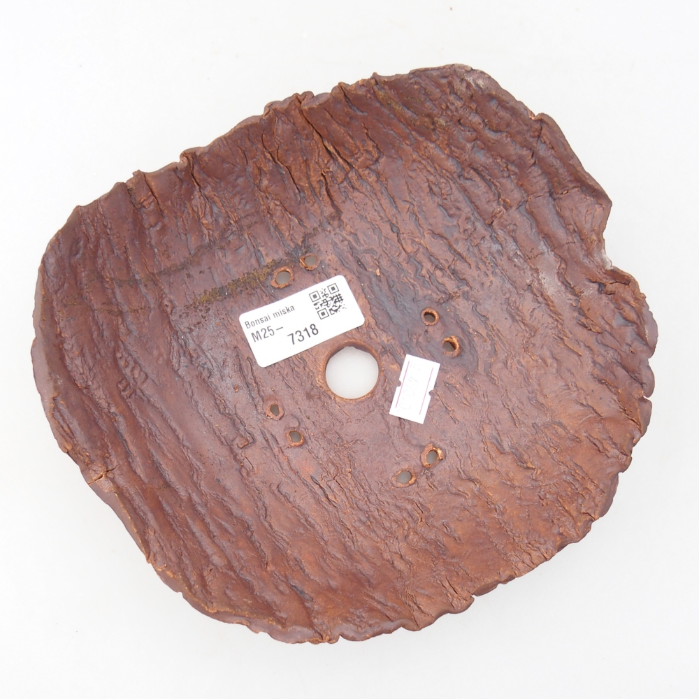 Coquille en céramique 19 x 17 x 5 cm , couleur marron