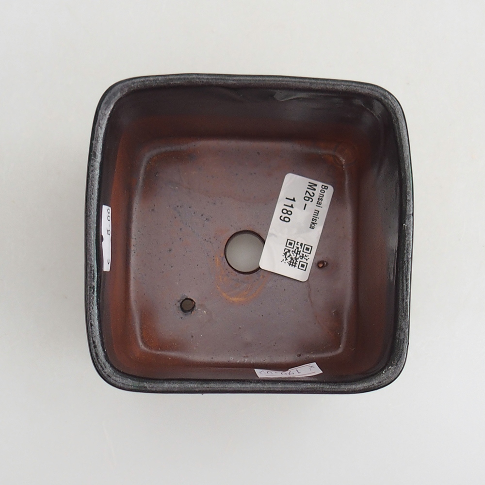 Bol à bonsaï en céramique 10 x 10 x 8 cm, vert