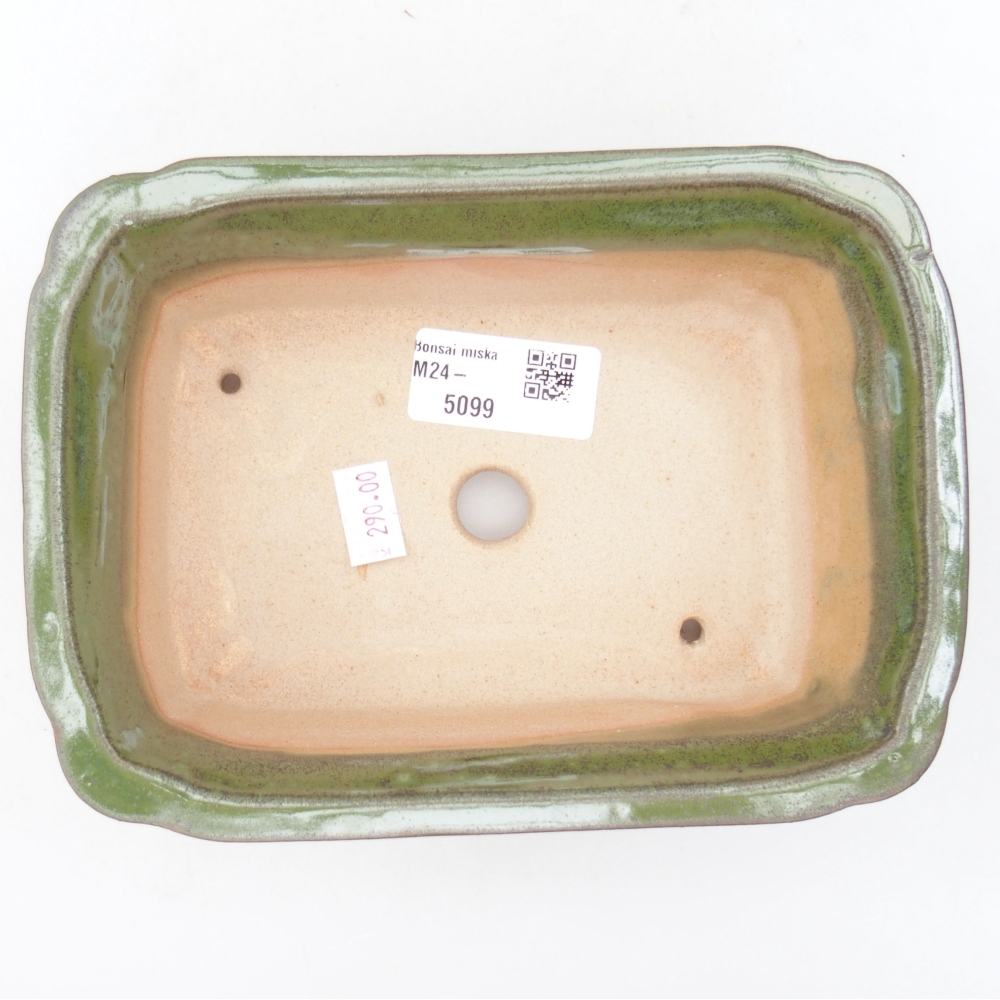 Bol à bonsaï en céramique 17,5 x 12,5 x 6 cm, vert