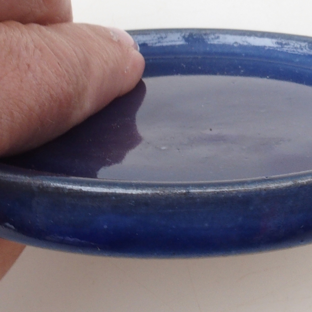 Récipient rond pour bonsaïs D6-S - 10 x 10 x 1 cm - bleu