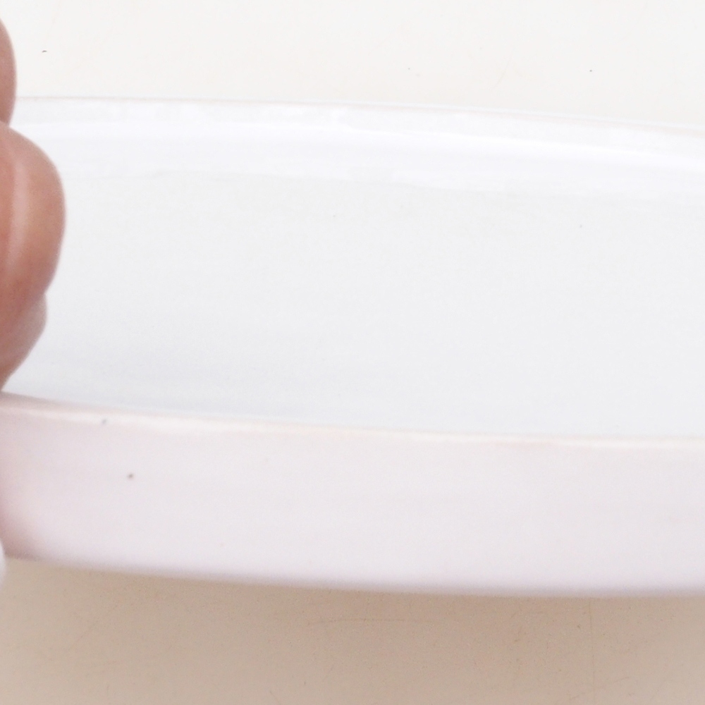Récipient rond pour bonsaïs D7-L - 28 x 28 x 1,5 cm - blanc