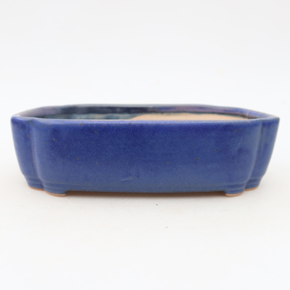Bol à bonsaï en céramique 16 x 11,5 x 4 cm, couleur bleu
