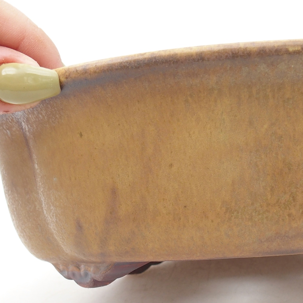 Bol à bonsaï en céramique 19 x 17 x 6 cm, vert