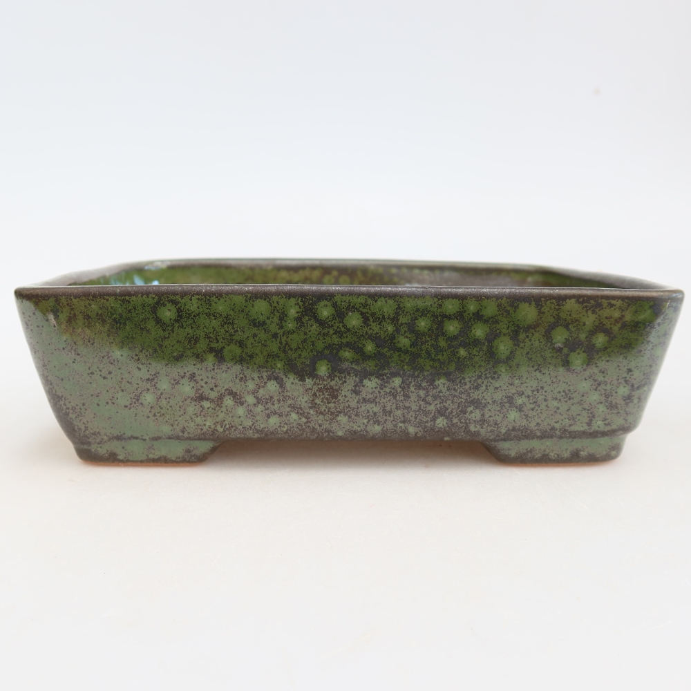 Bol à bonsaï en céramique 18 x 13 x 5 cm, vert